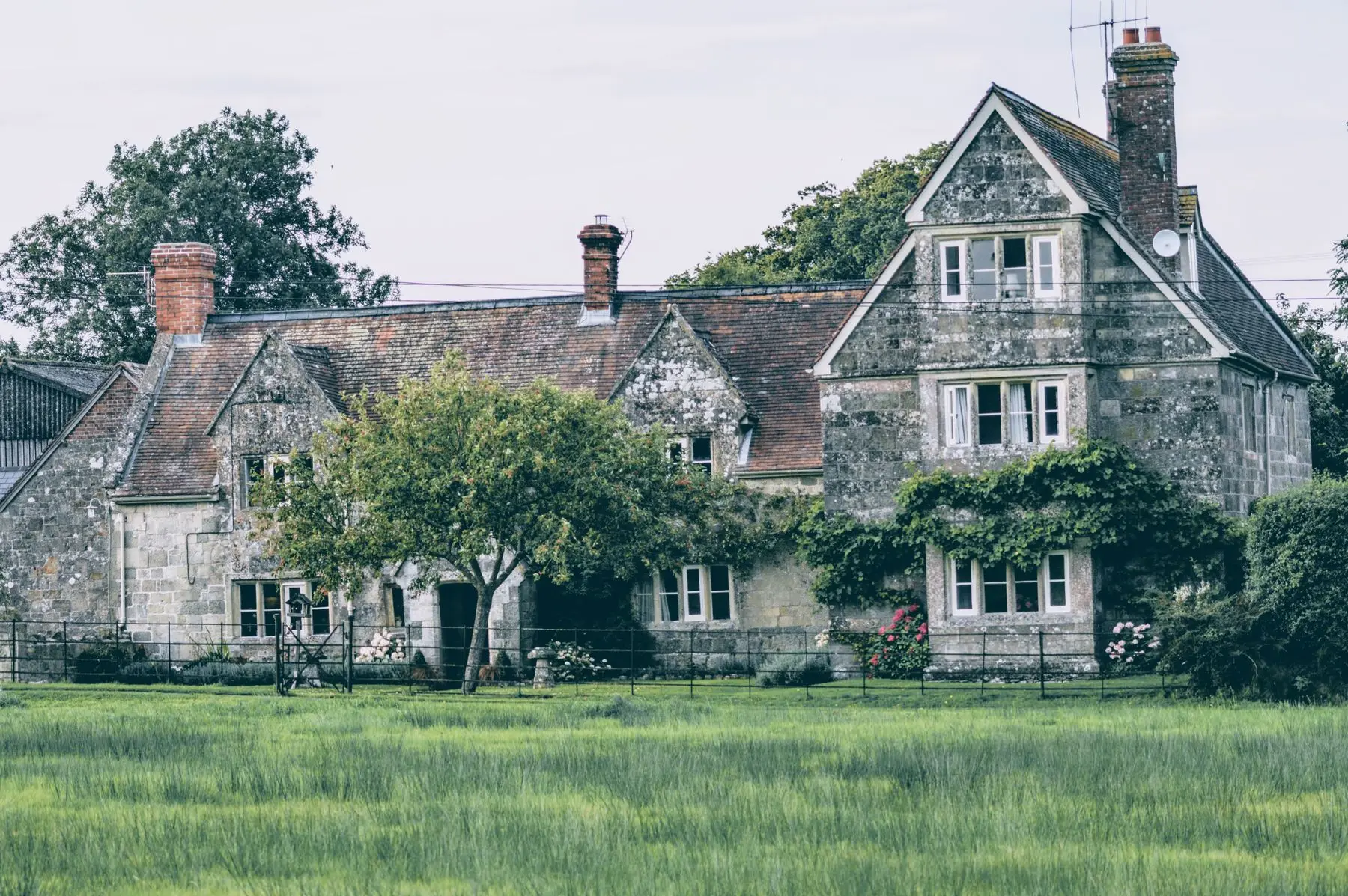 Maison de campagne en pierre en partie couverte de lierre, derrière un pré d'herbe haute.